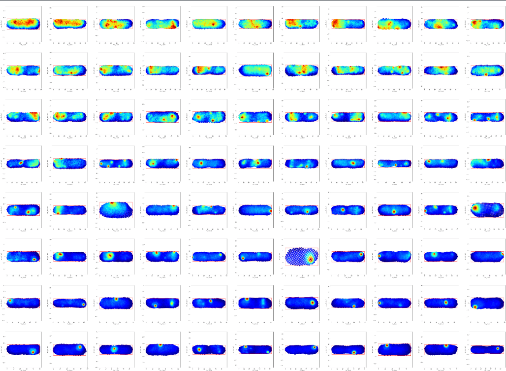 ラベリングフローのイメージ