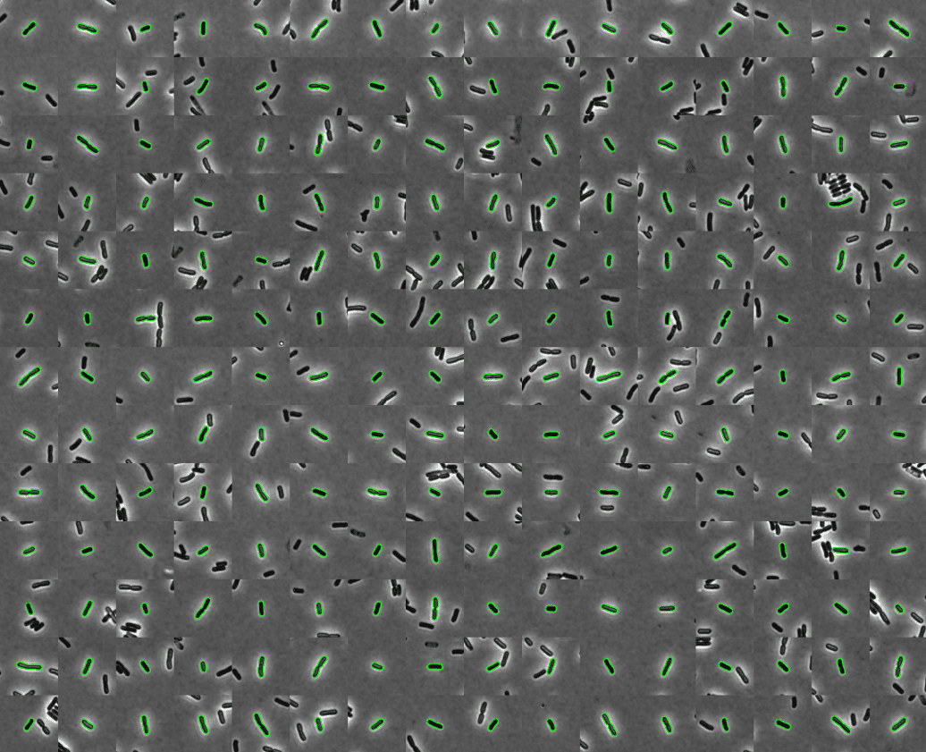 チームコラボレーションのイメージ