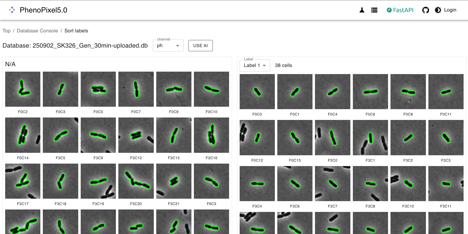ラベリング結果の確認画面のスクリーンショット